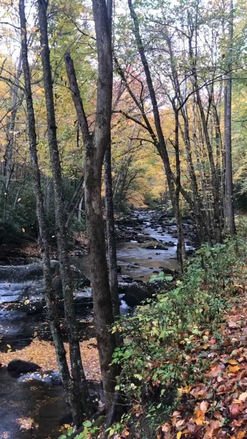 Fly Fishing on Little River: A Tradition Rooted in the Mountains Fly Fishing on Little River: A Tradition Rooted in the Mountains