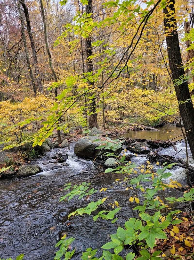 Forest, Views, and a Monster Boulder