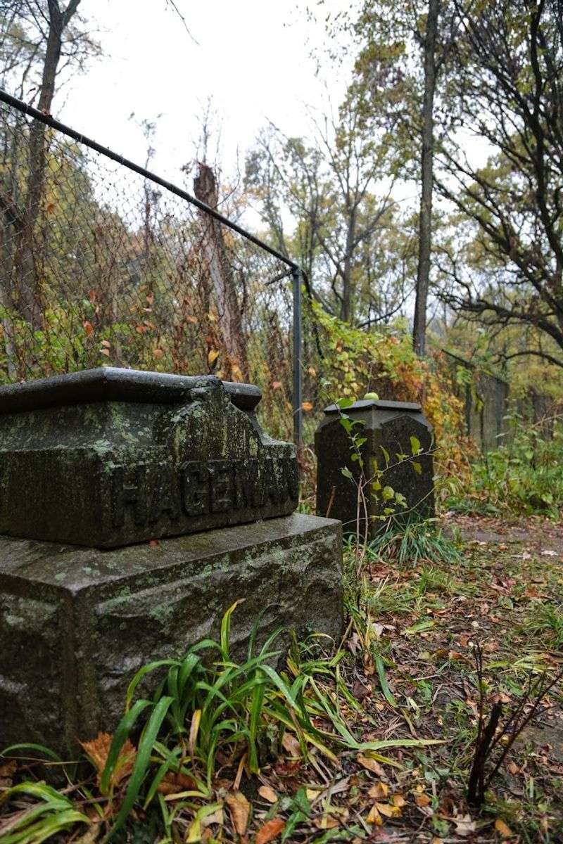Forgotten Graves and the Trees That Guard Them