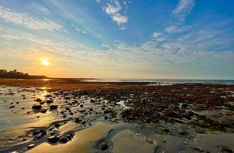 Foss Beach Rye