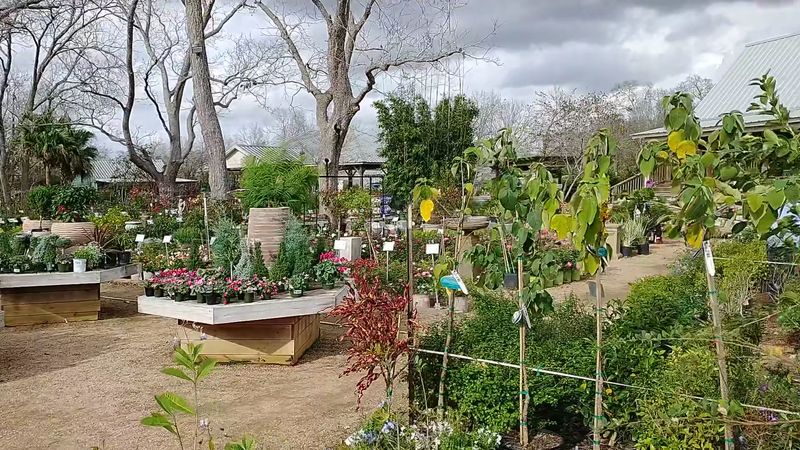 Four Acres of Pure Green Exploration