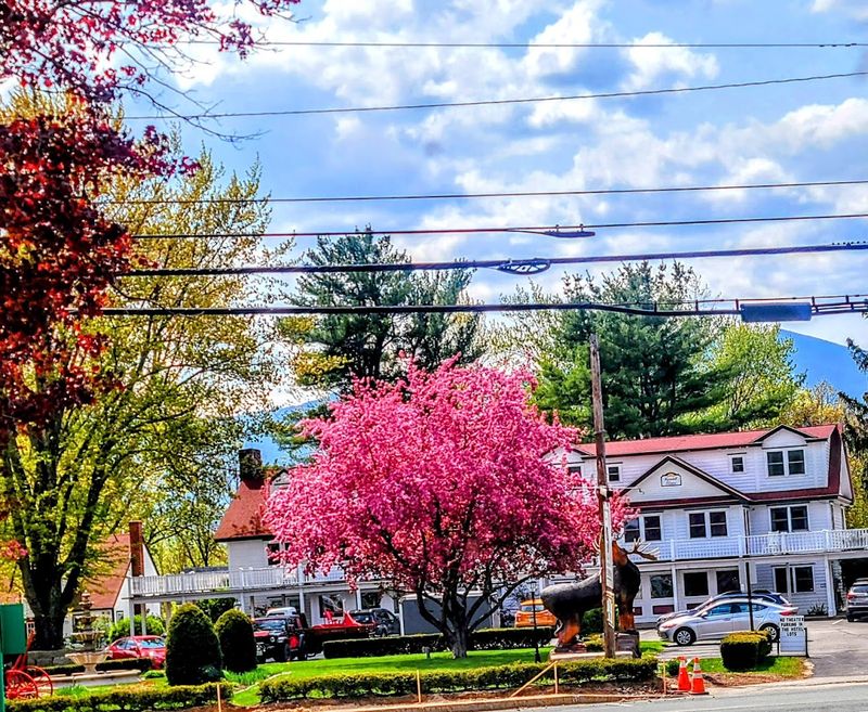 Four Seasons of Reasons to Keep Coming Back