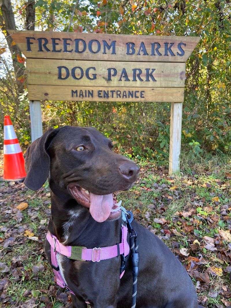 Freedom Barks