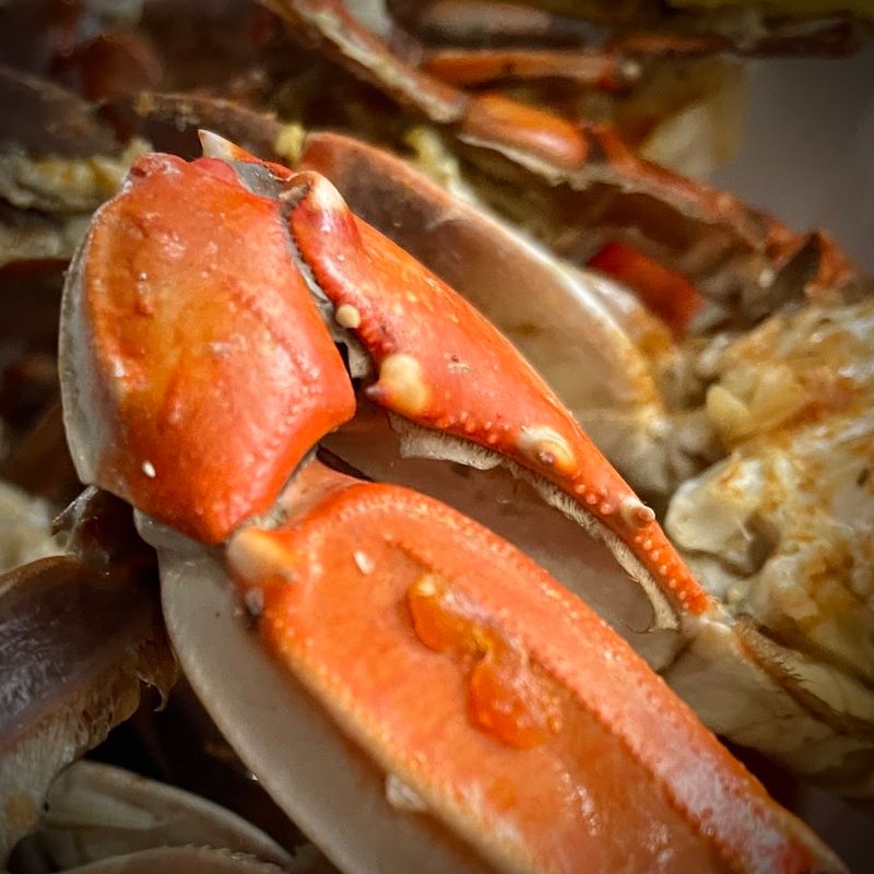 Fresh Blue Crabs Caught Daily and Cleaned Before They Hit Your Plate Fresh Blue Crabs Caught Daily and Cleaned Before They Hit Your Plate