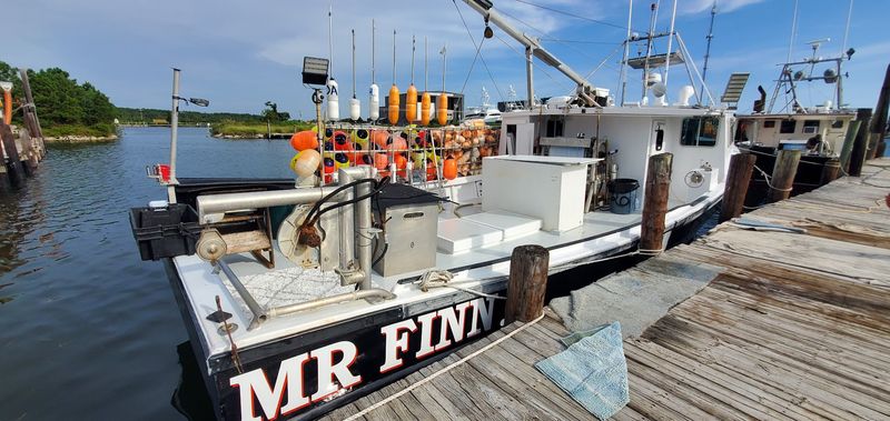 Fresh Catch Seafood: Where the Dock Meets the Counter Fresh Catch Seafood: Where the Dock Meets the Counter