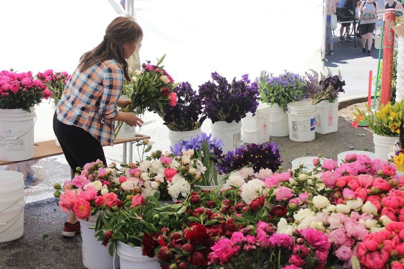 Fresh Flowers That Brighten Up Any Home Fresh Flowers That Brighten Up Any Home