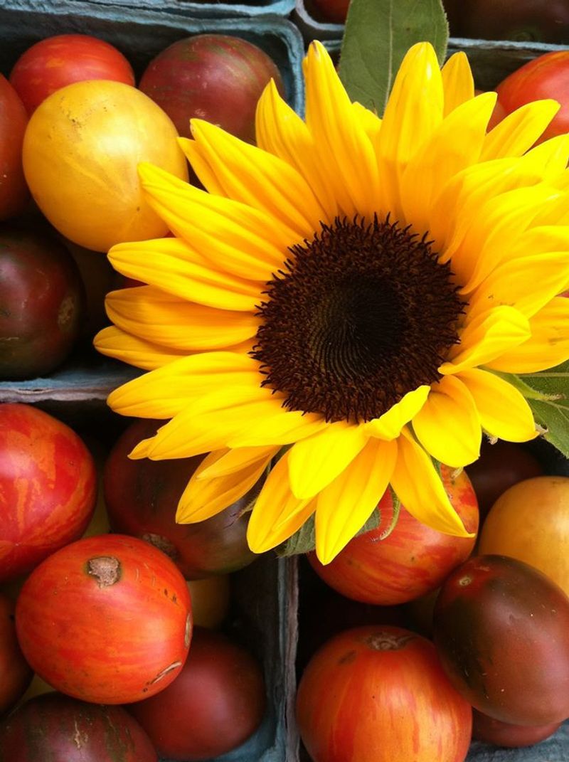 Fresh Herbs and U-Cut Flowers That Brighten Everything