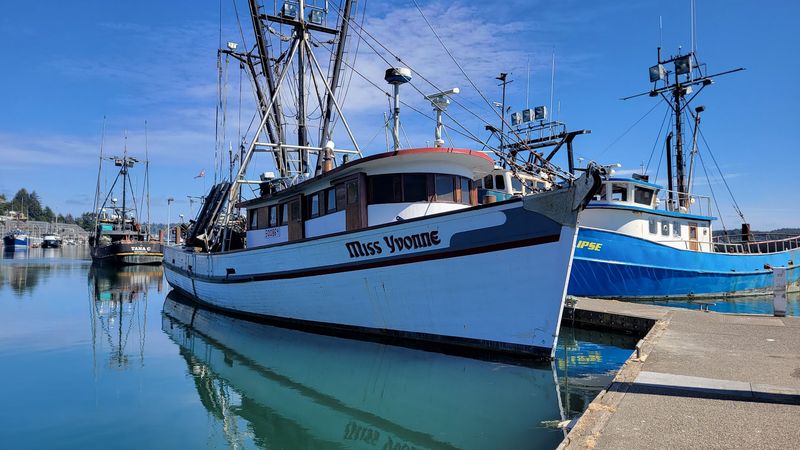 Fresh Seafood Straight from the Harbor