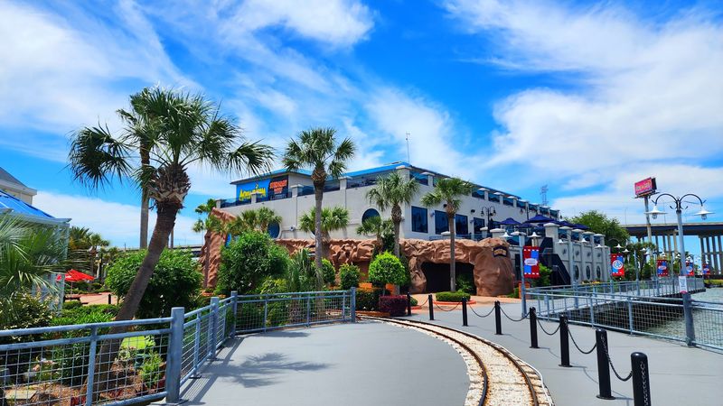 Fresh Seafood and a Menu Worth Exploring