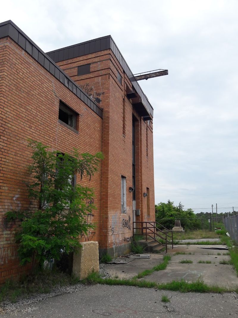 From Telephone Poles to Osprey Platforms