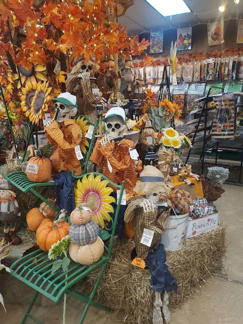 Fun Events, Workshops, And A Pumpkin Season Destination