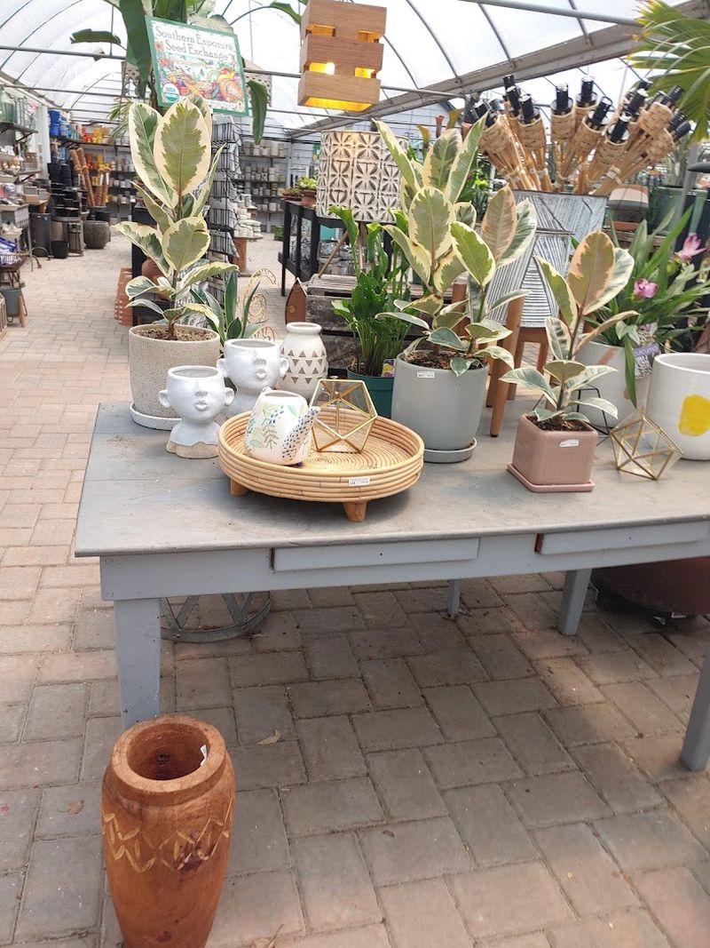Garden Decor That Elevates Every Outdoor Space