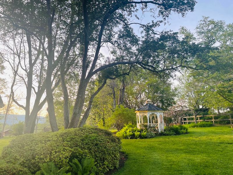 Gardens That Invite You to Slow Down Gardens That Invite You to Slow Down