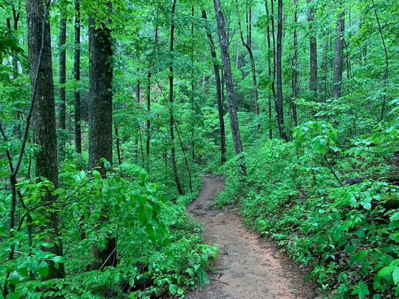 Getting There: The Road Less Traveled to Blue Hole Falls Getting There: The Road Less Traveled to Blue Hole Falls