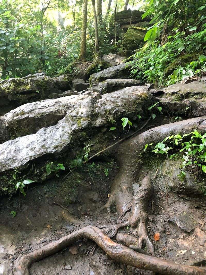 Getting There, The Short Trail and What to Expect on the Way In