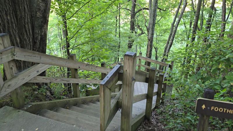 Getting There: What to Know Before You Go Getting There: What to Know Before You Go