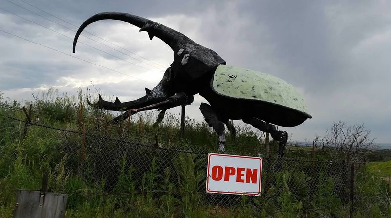 Getting Up Close: Tips for Visiting Herkimer and the Museum Getting Up Close: Tips for Visiting Herkimer and the Museum