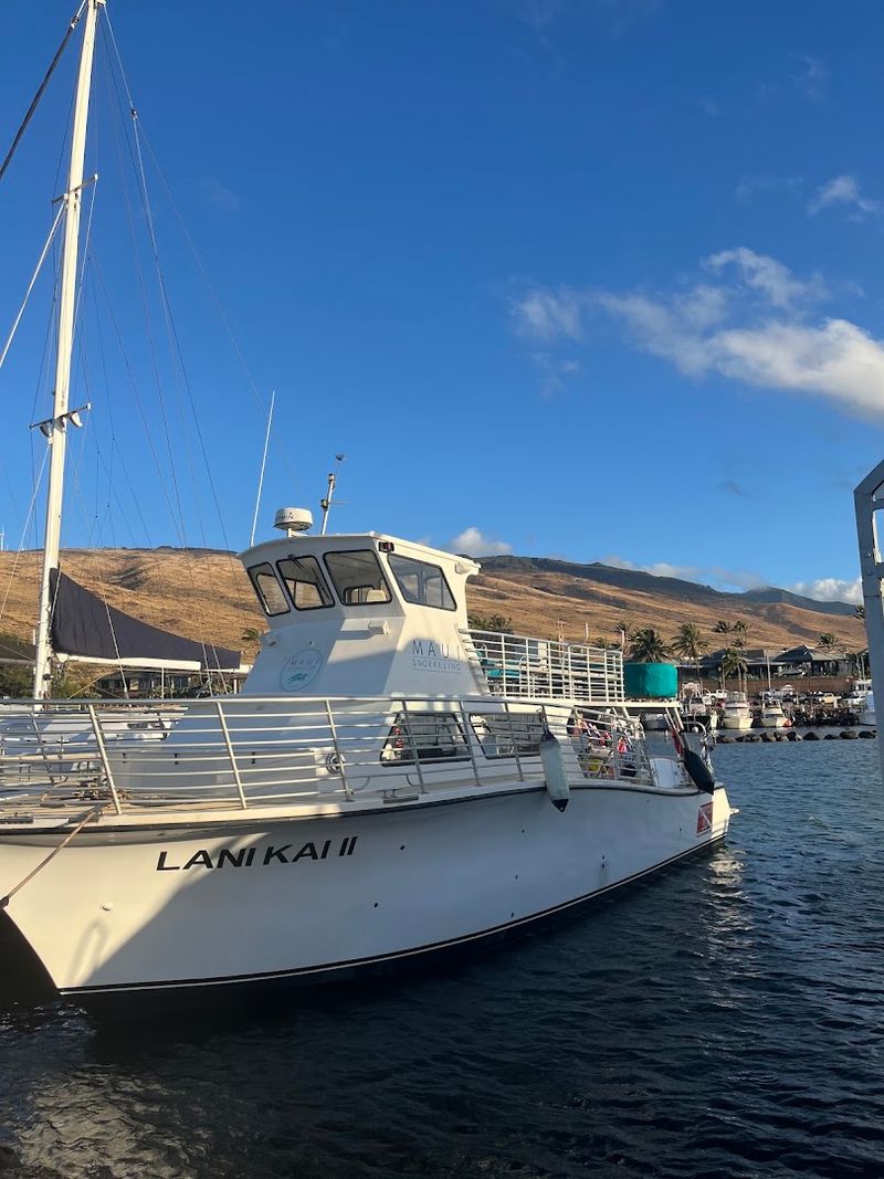 Getting to Turtle Town from Ma'alaea Harbor