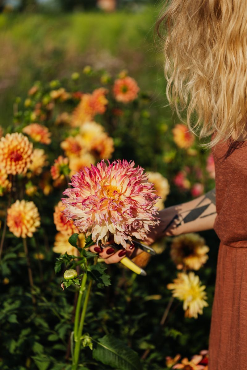 Given Flower Company
