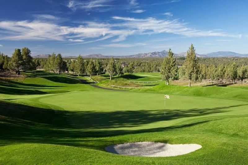 Golf Courses and What Golfers Can Expect on the Greens