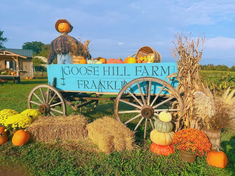 Goose Hill Farm, Franklin