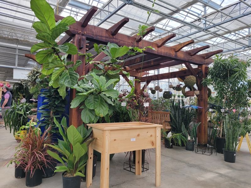 Gorgeous Displays That Make Plant Shopping an Experience