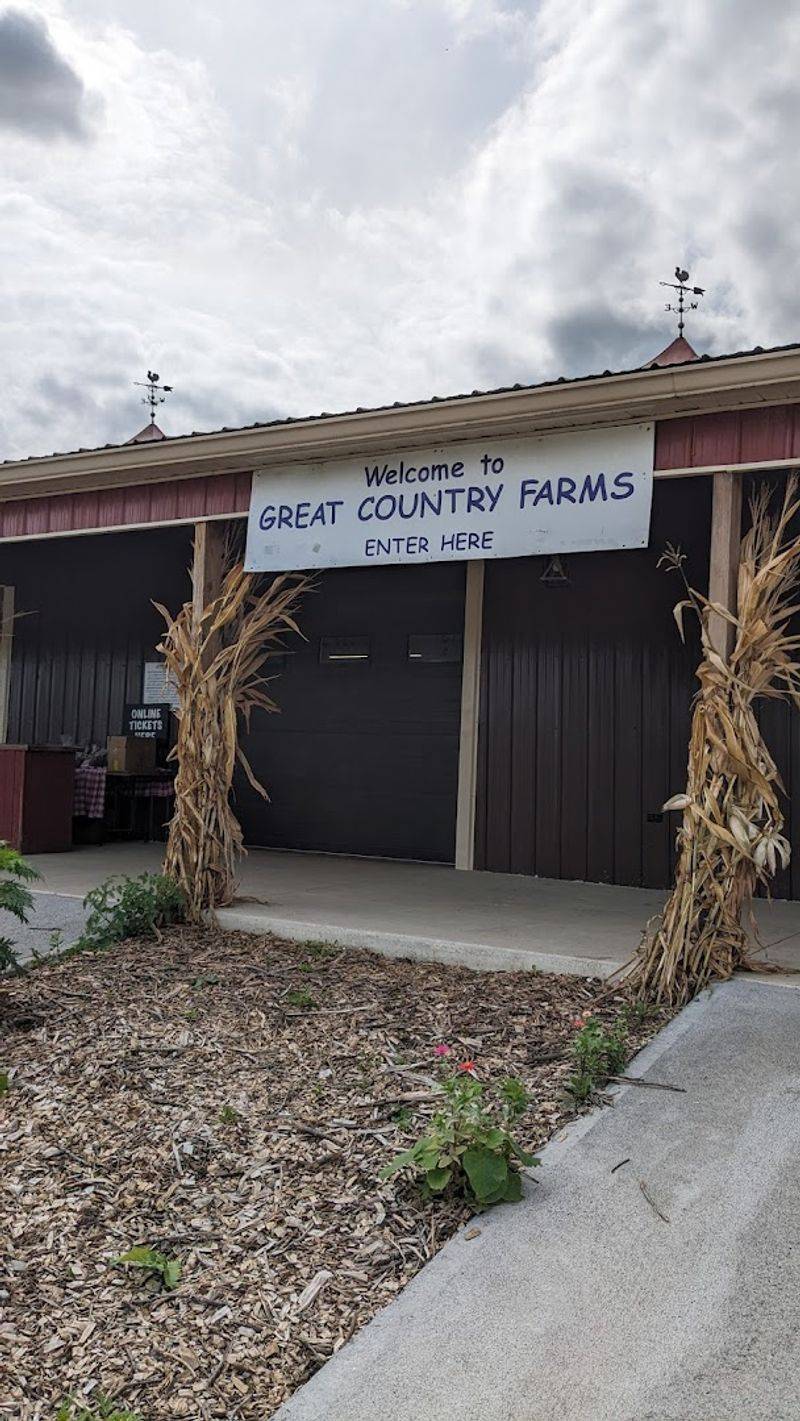 Great Country Farms (Bluemont) Great Country Farms (Bluemont)