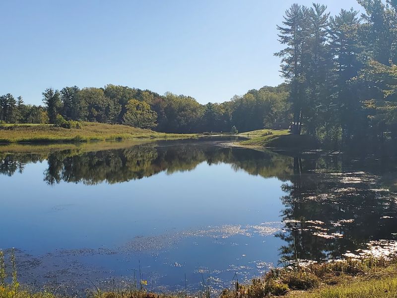 Greene-Sullivan State Forest
