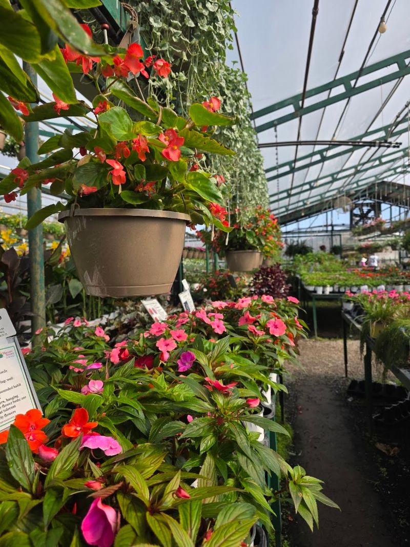 Greenhouses That Keep Unfolding Greenhouses That Keep Unfolding