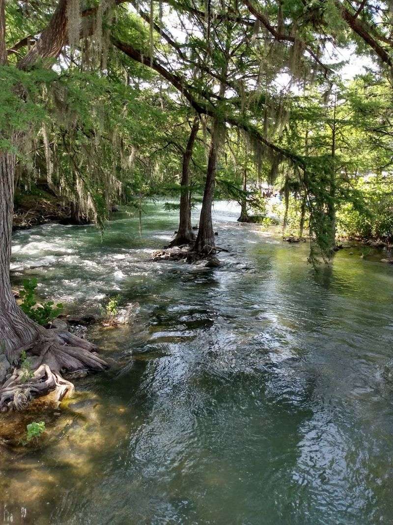 Gruene Gruene