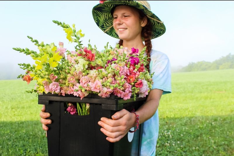Guided Farm Tours That Open Your Eyes