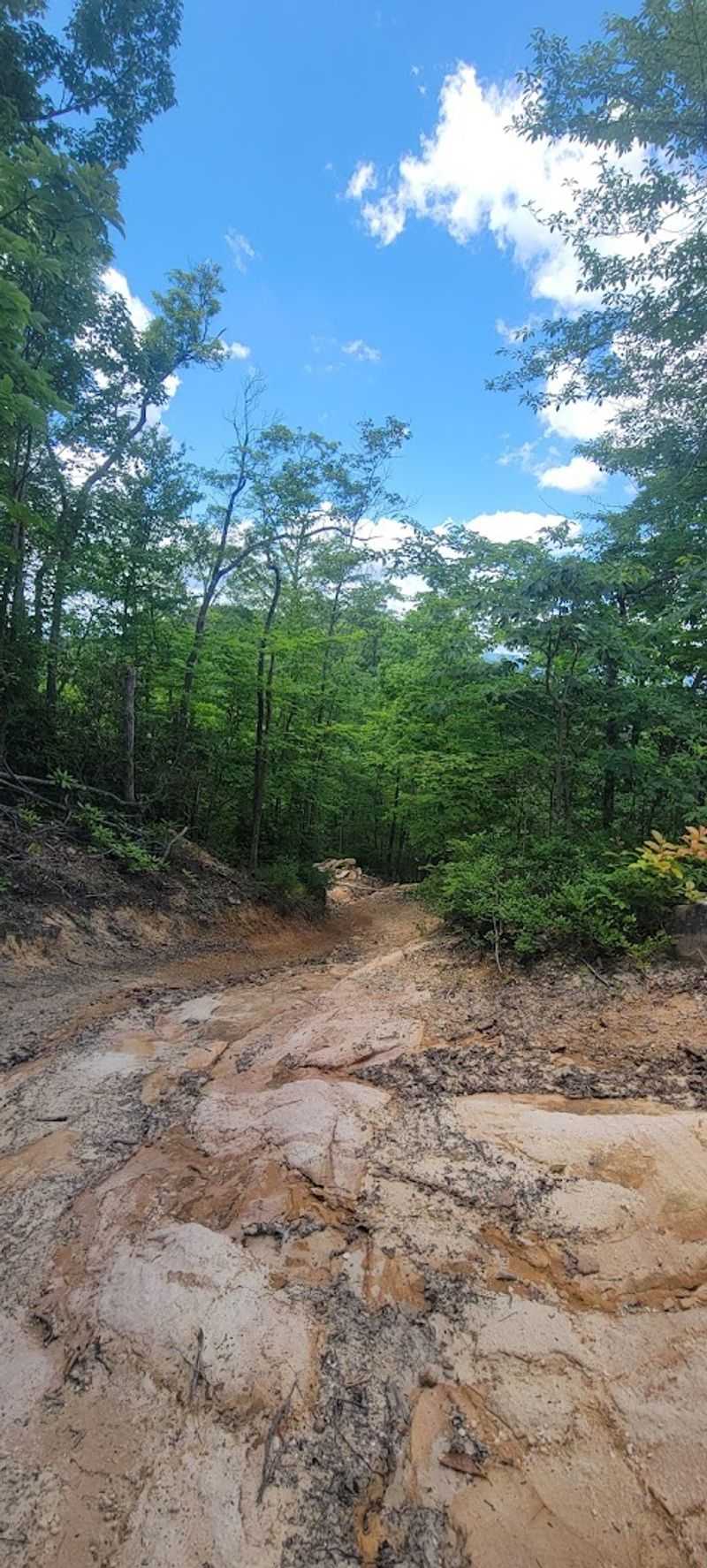 Guided Tracks for First-Timers and Thrill Seekers Alike