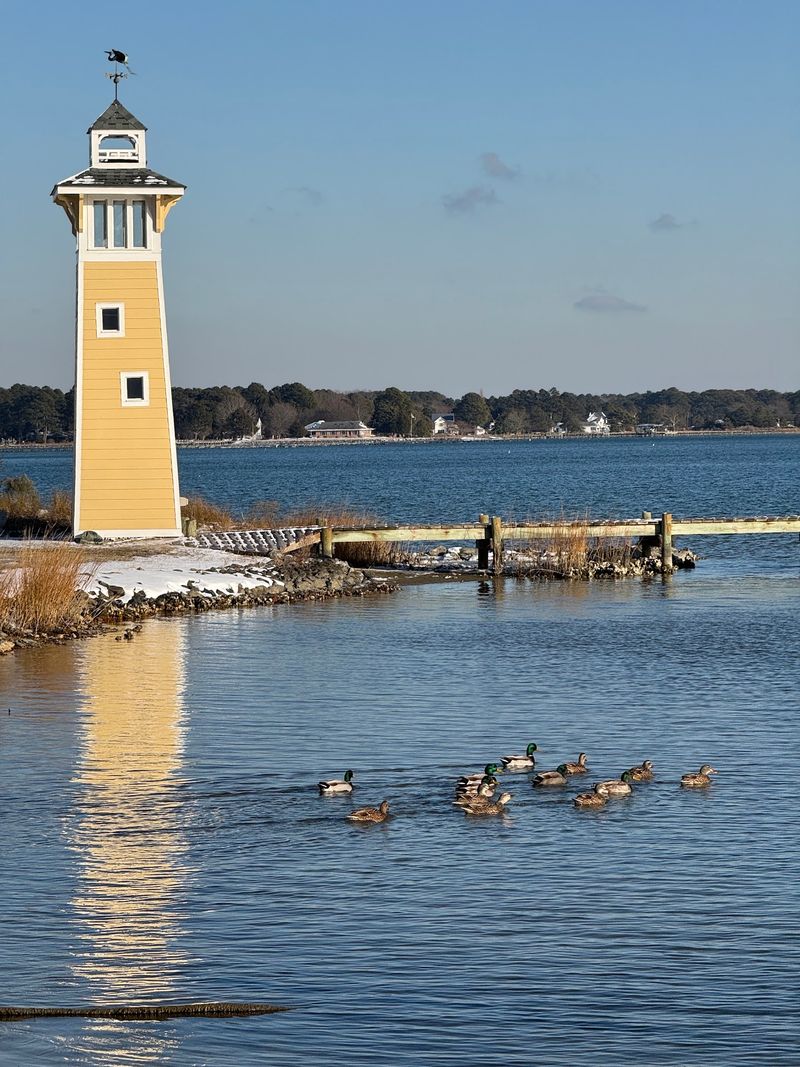 Gwynn's Island, a World Completely Its Own Gwynn's Island, a World Completely Its Own
