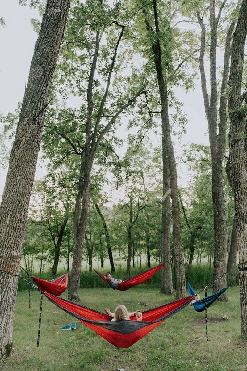 Hammocks, Fire Pits, and Stargazing Spots Hammocks, Fire Pits, and Stargazing Spots