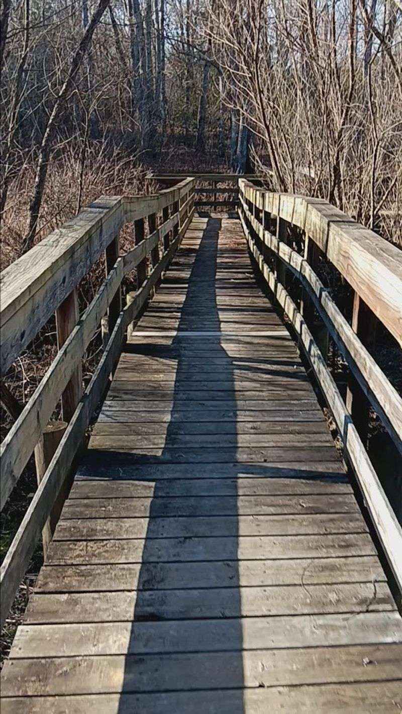 Handicapped-Accessible Boardwalk For All Handicapped-Accessible Boardwalk For All