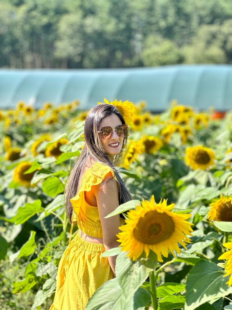Hanson's Farm in Framingham, MA
