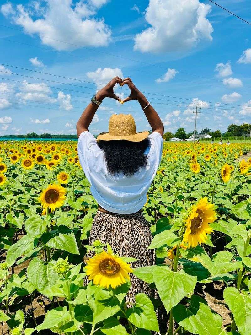 Happy Day Farm Happy Day Farm