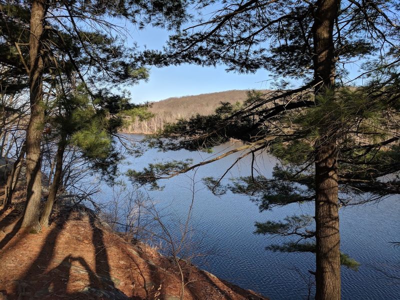 Hike High Above Boonton's Trees