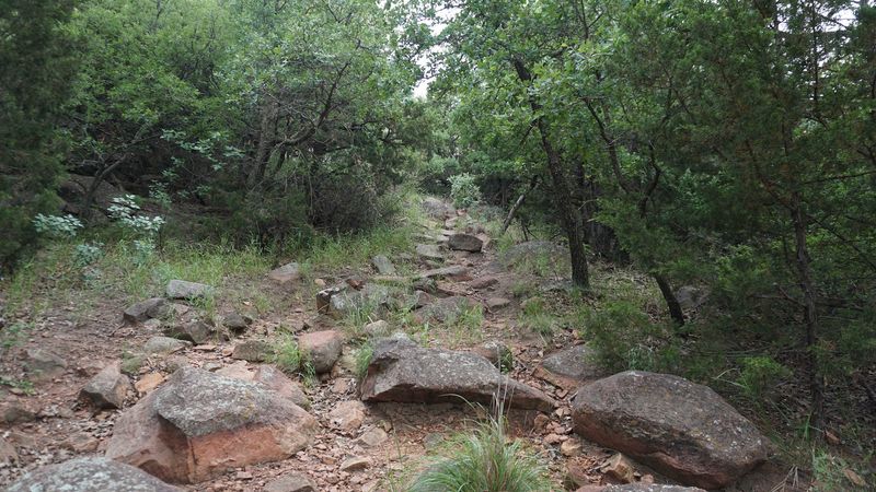 Hiking Trails Right Outside the Front Door