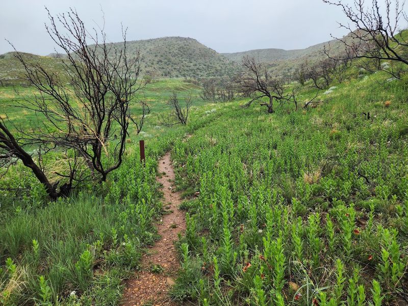 Hiking Trails Through Ancient Canyon Country
