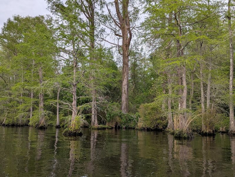 Hiking Trails Through a Landscape That Feels Prehistoric
