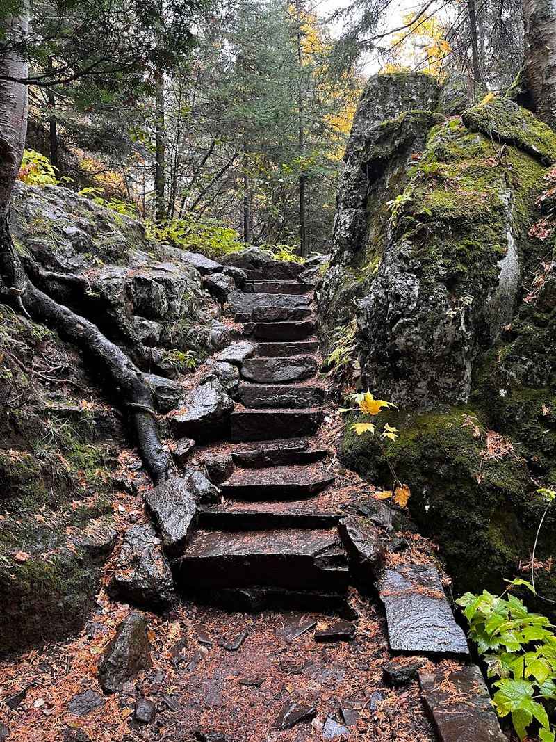Hiking Trails for Every Level of Adventurer