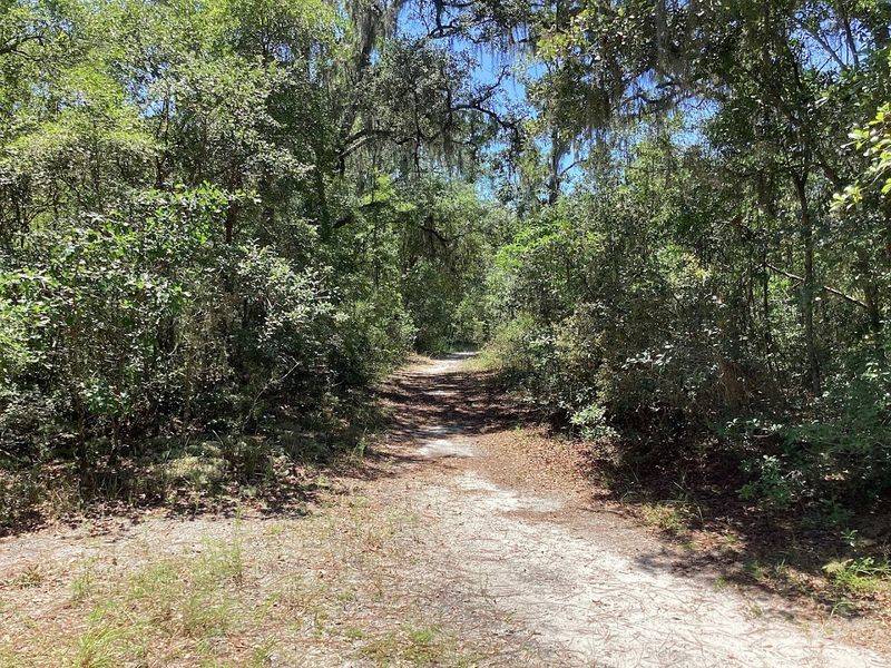 Hiking and Biking Trails Around White Springs Hiking and Biking Trails Around White Springs