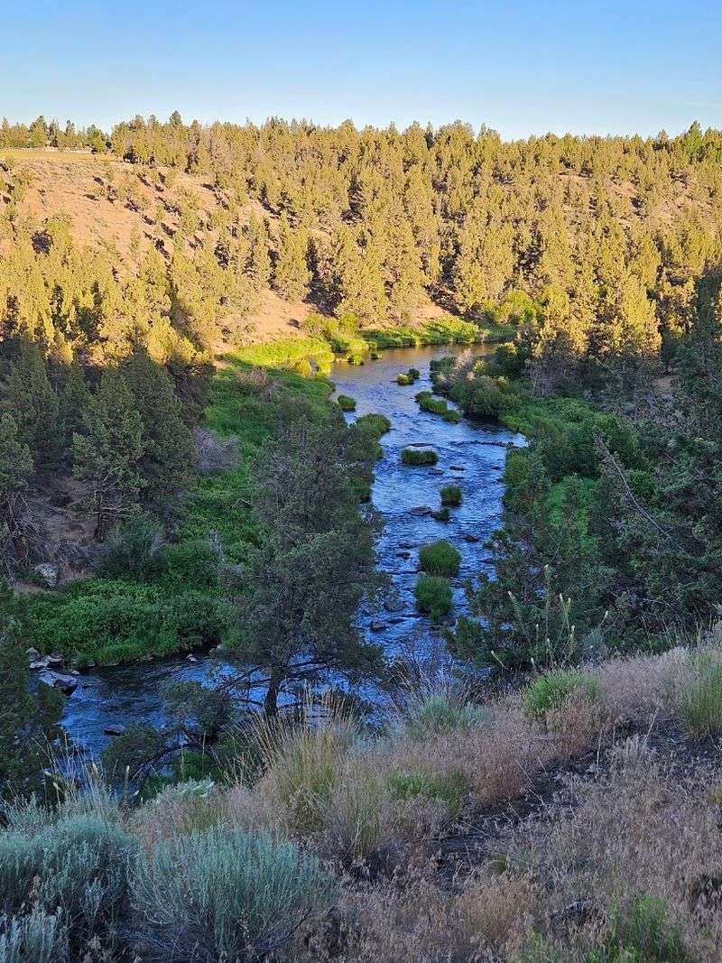 Hiking and Biking Trails for Outdoor Enthusiasts