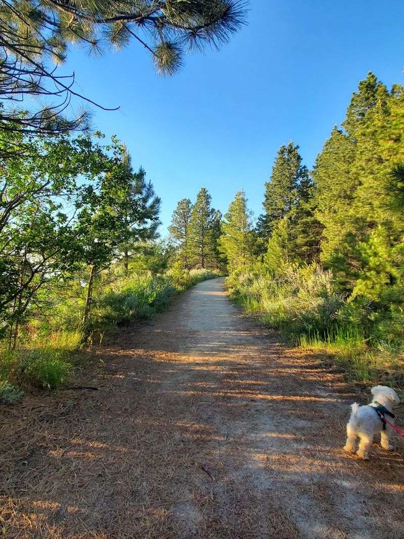 Hiking and Biking Trails with Panoramic Lake Views