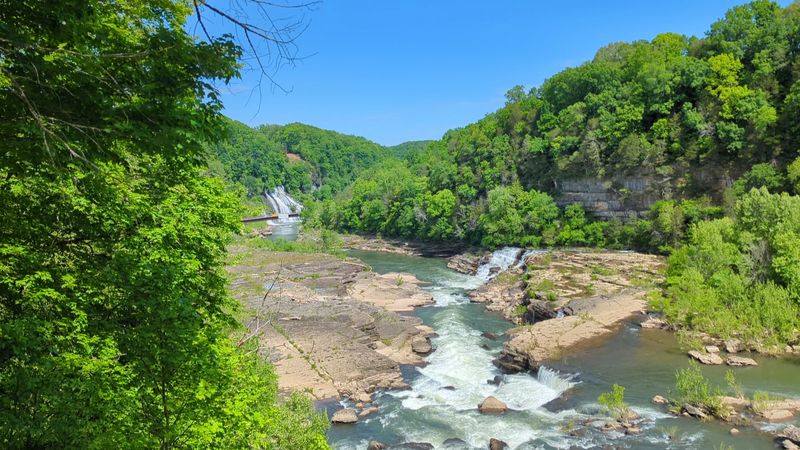 Hiking the Trails: More Than Just a Walk in the Woods