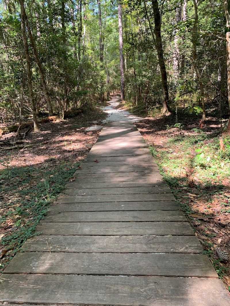 History Hidden Among the Trees and Trails History Hidden Among the Trees and Trails