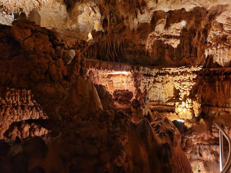 History Stretching Back Millions of Years