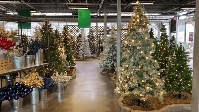 Holiday Magic That Families Return To Every Year