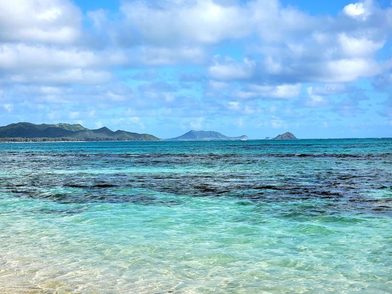Honu Heaven, Swimming Alongside Sea Turtles